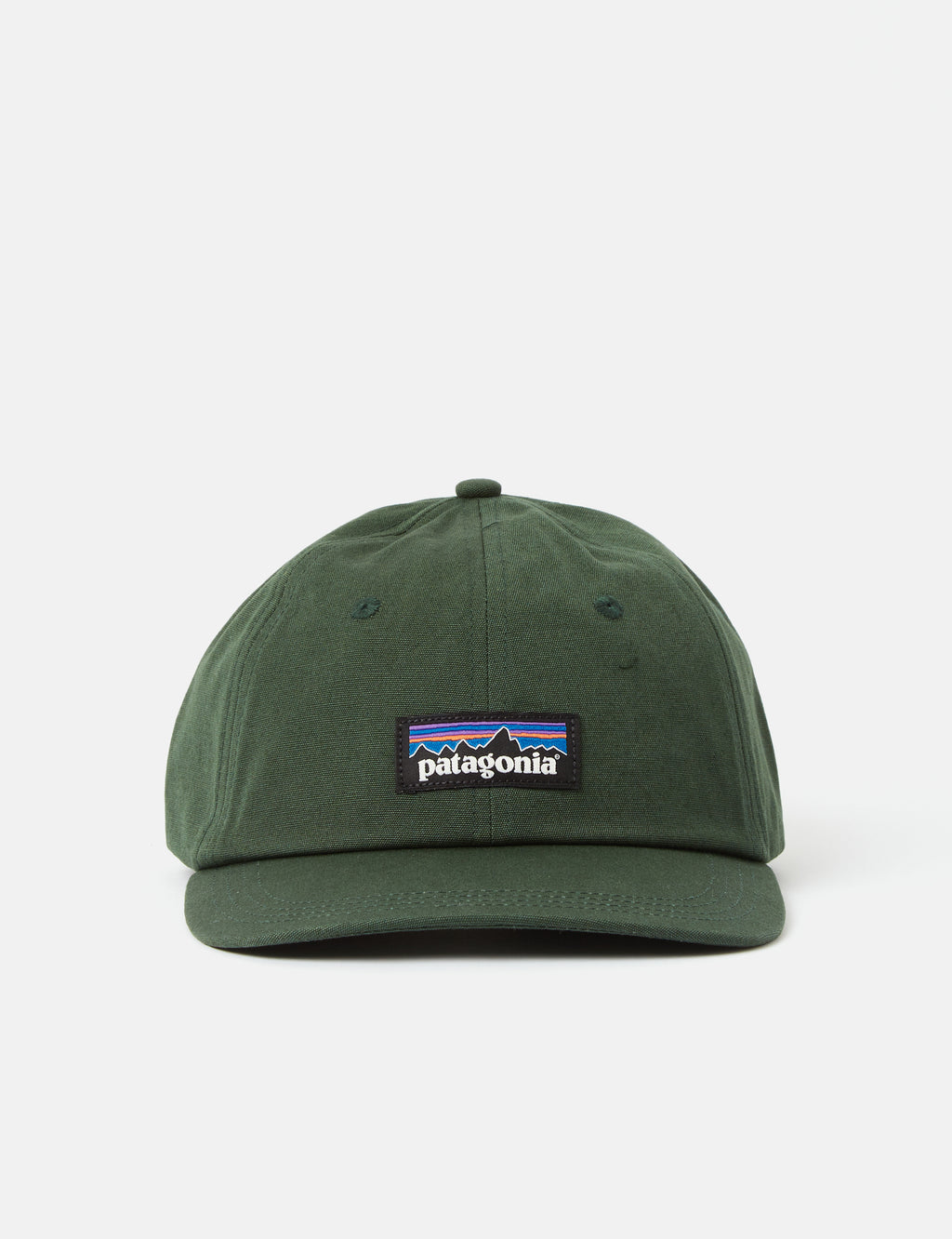 Patagonia P-6 Label Trad Cap - Pinyon Green I Urban Excess. – Urban Excess