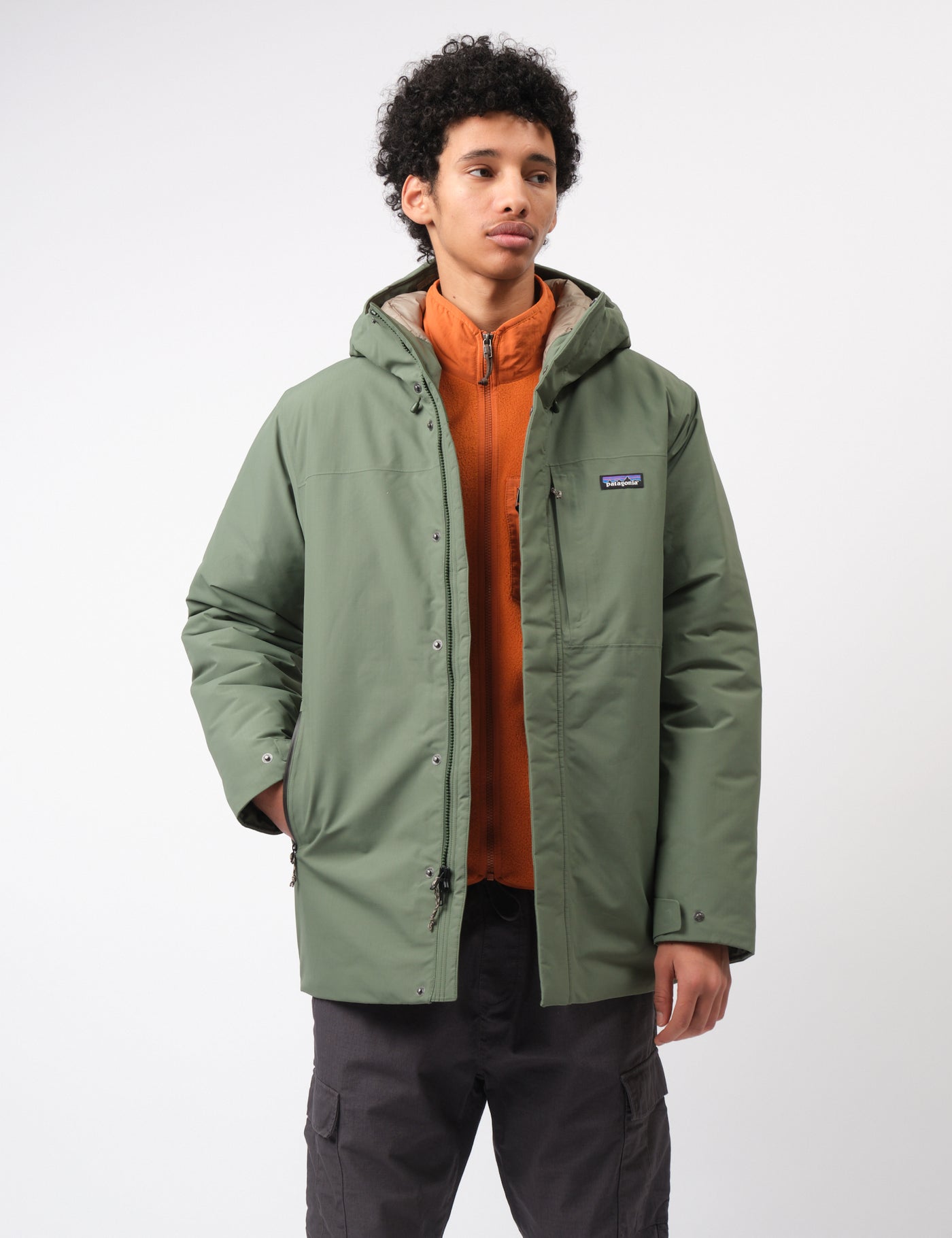 Patagonia hooded parka online