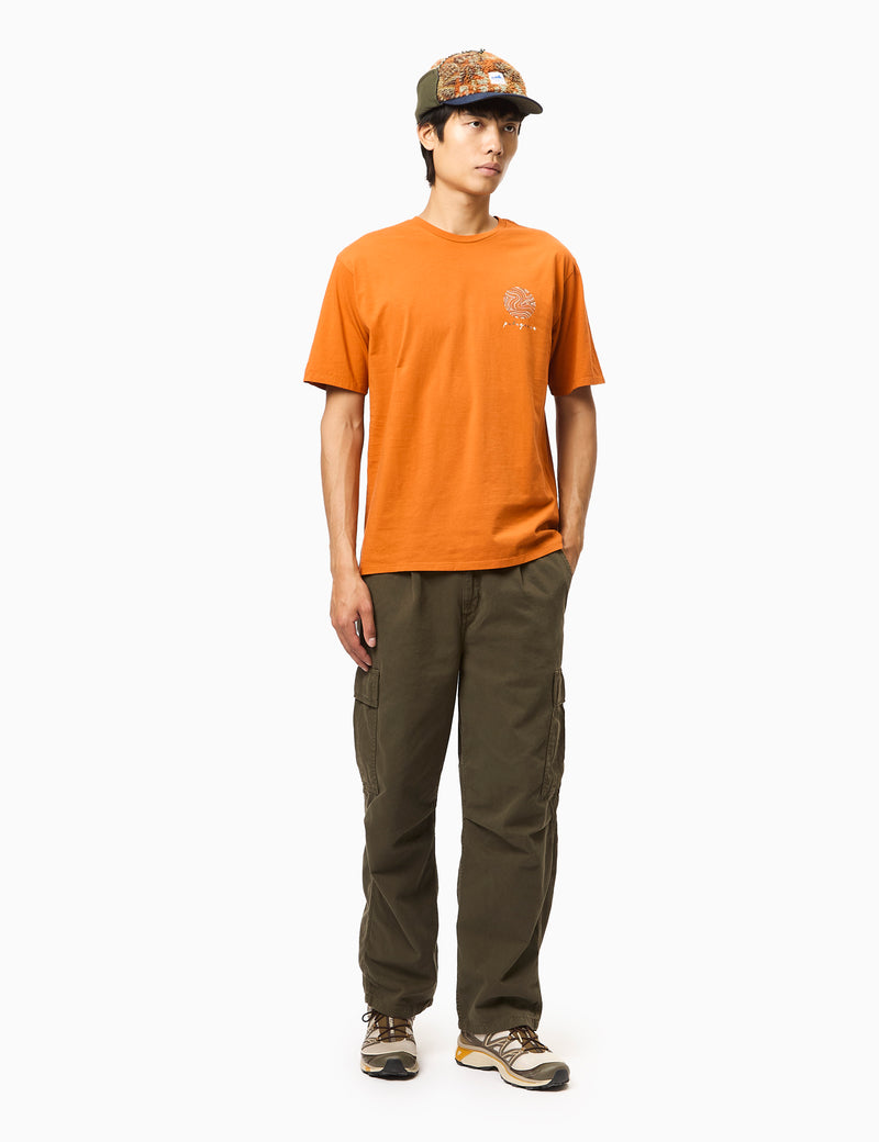 Patagonia CTA Earth Currents Organic T-Shirt - Redtail Rust