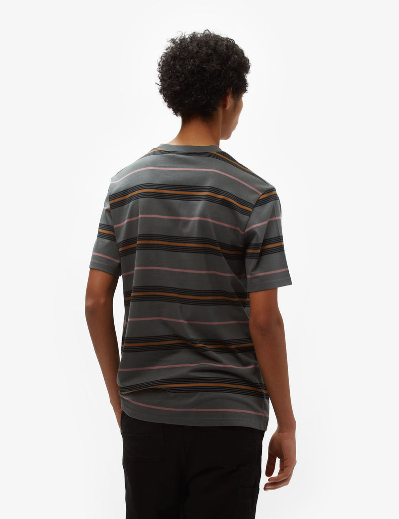 Carhartt-WIP Haynes Stripe T-Shirt - Jura Green